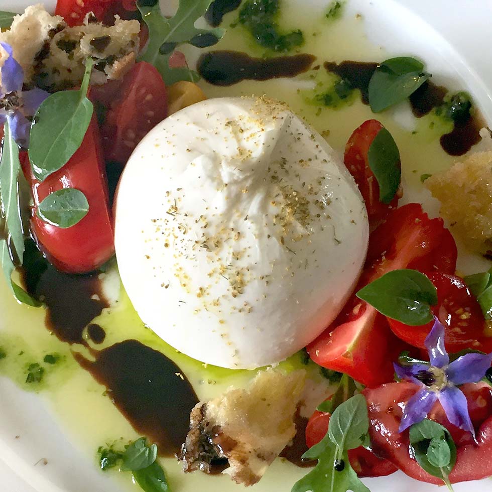 A plate with a ball of fresh burrata cheese, cherry tomato halves, toasted bread pieces, edible purple flowers, green leaves, olive oil, and a drizzle of balsamic glaze.