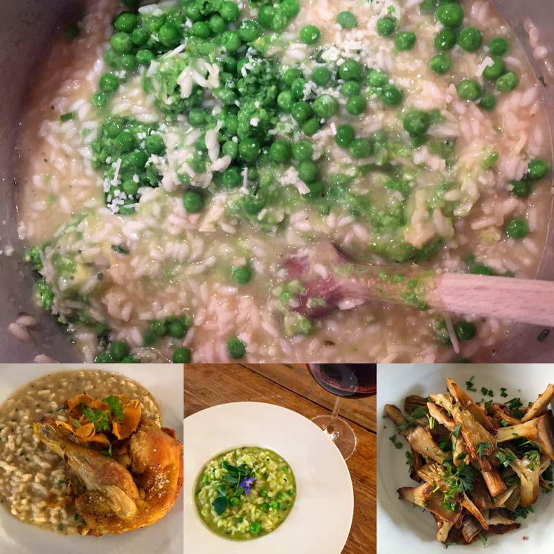 A collage of four dishes: creamy risotto with peas being stirred in a saucepan, chicken with risotto, green soup garnished with flowers, and sliced grilled meat over salad leaves.